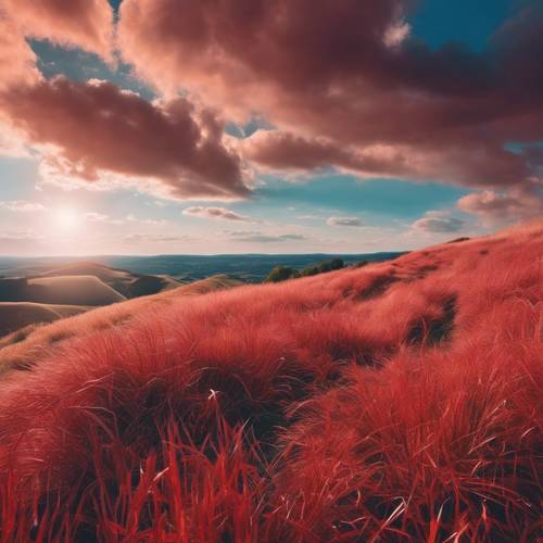 Uma colina coberta por grama vermelha alta e ondulante sob um céu azul brilhante.