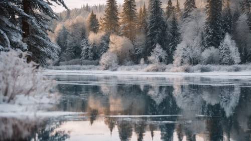 ทะเลสาบอันเงียบสงบกลายเป็นน้ำแข็ง โดยมีต้นไม้รอบๆ สะท้อนบนพื้นผิวมันวาวอย่างสมบูรณ์แบบ