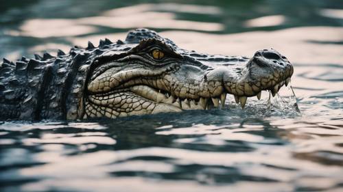 A crocodile darting through the water, creating ripples and waves.