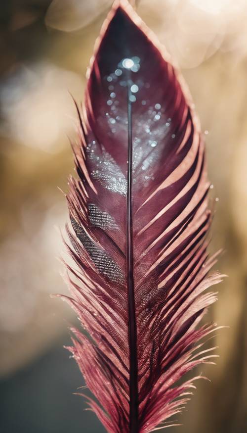 A close-up image of a maroon feather detail, with light shimmering off its surface.