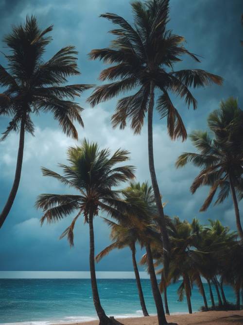 Une sombre tempête tropicale se prépare sur la mer bleu électrique, les palmiers se débattent dans le vent.