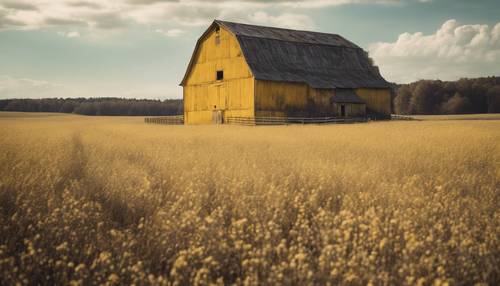 広大な畑にある古びた黄色い納屋