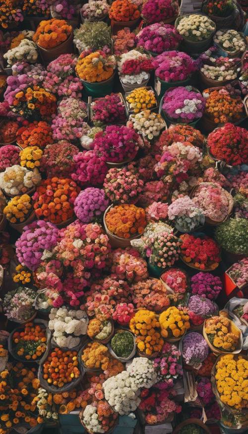 An aerial view of a Mexican flower market, with stalls bursting with an explosion of colorful blooms.
