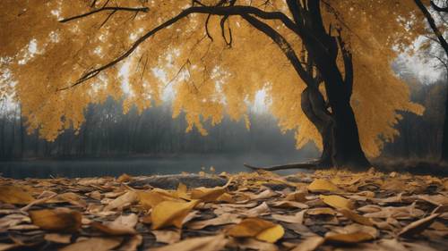 Eine malerische Herbstlandschaft voller gelber Blätter vor einem geschwärzten Himmel.