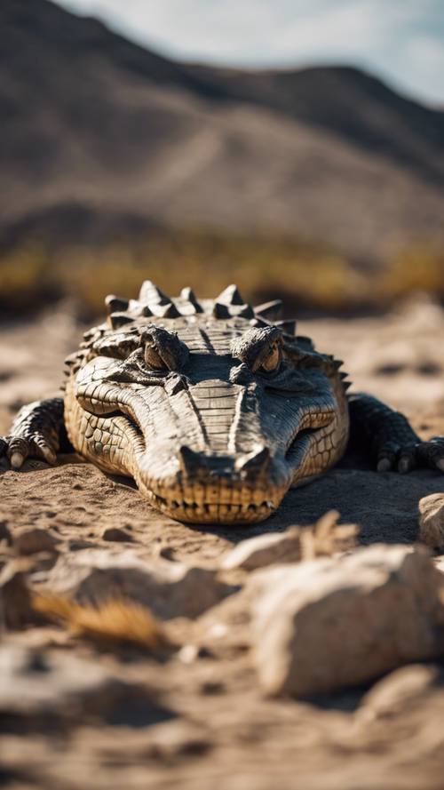An ancient fossil of a prehistoric crocodile discovered in a remote excavation site. Tapet [d97d5878d84d43998a75]