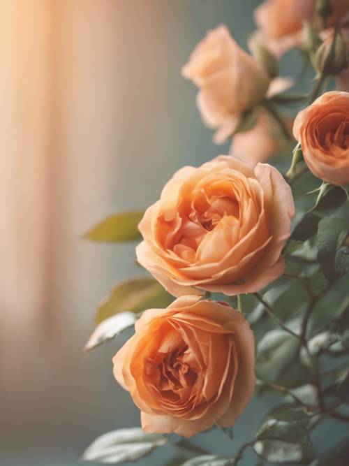 Uma foto macro de rosas laranja selvagens contra um cenário pastel vintage.
