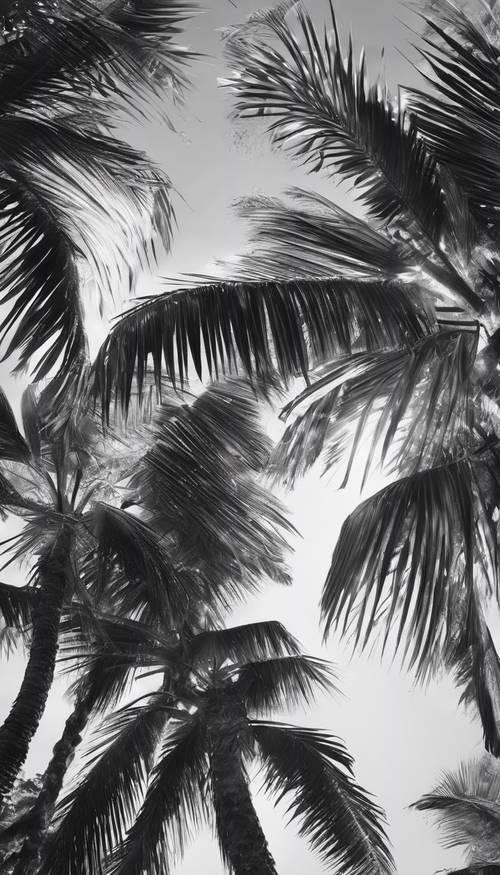 Sebuah rendering digital dari pohon palem tropis, detail rumitnya menonjol dalam kontras tinggi dalam warna hitam dan putih.