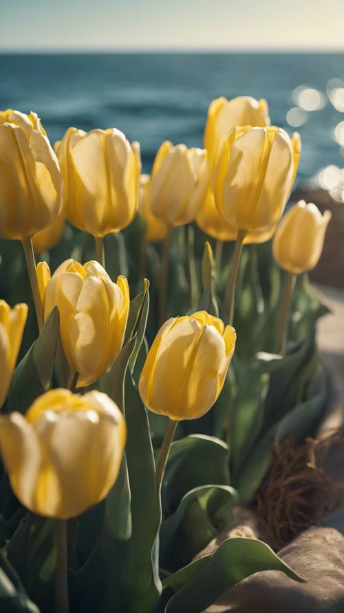 Yellow tulips bathed in soft late afternoon sunlight, against a tranquil blue ocean backdrop.
