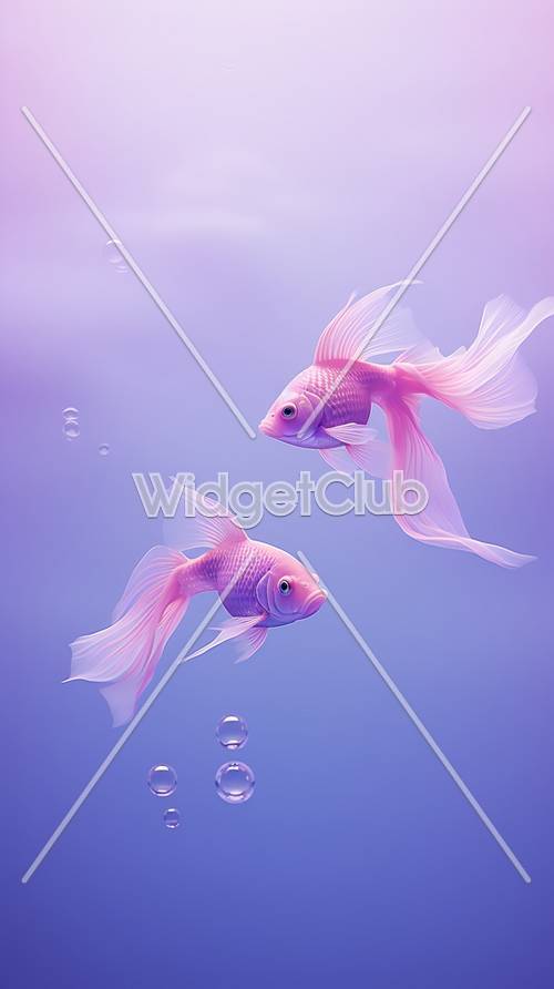 Beautiful Pink Fish in Blue Water