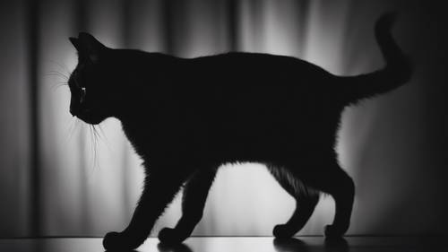 검은 배경에 앉아 있는 미니멀한 고양이의 우아한 검은 실루엣입니다.