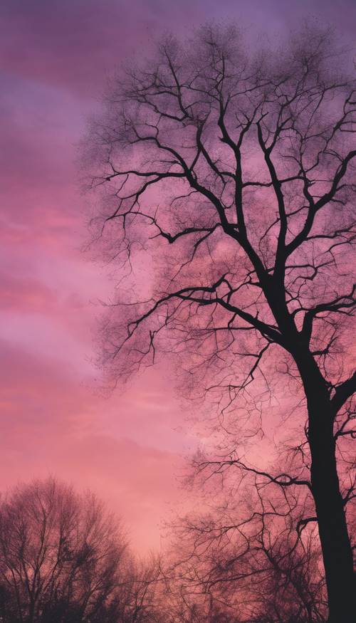 Томное вечернее небо, расписанное мазками пастельных розовых, оранжевых и пурпурных тонов, с силуэтами голых деревьев на фоне.