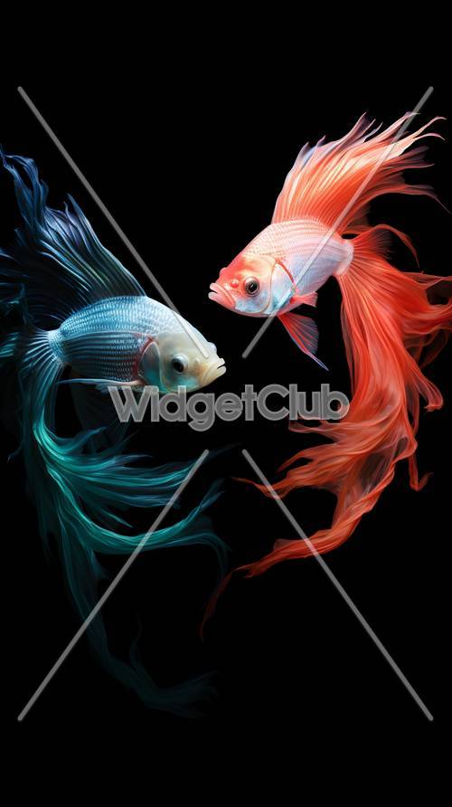 Stunning Dance of Colorful Fish in the Dark