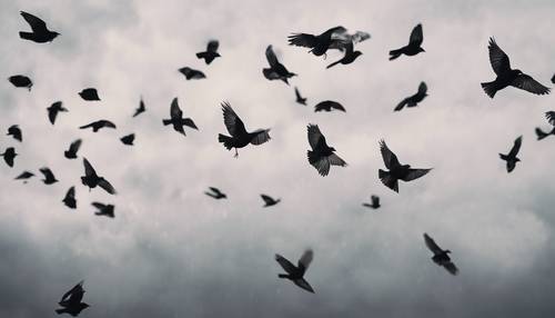 A flock of blackbirds flying against an overcast, gray sky.