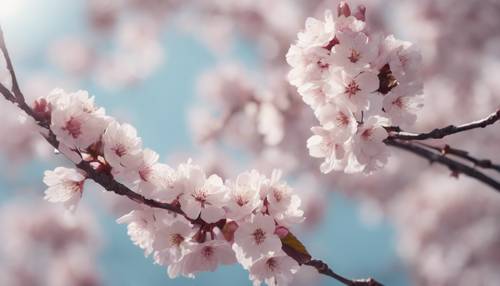 An array of cherry blossoms painted in cool pastel tones, gently swaying in the breeze.