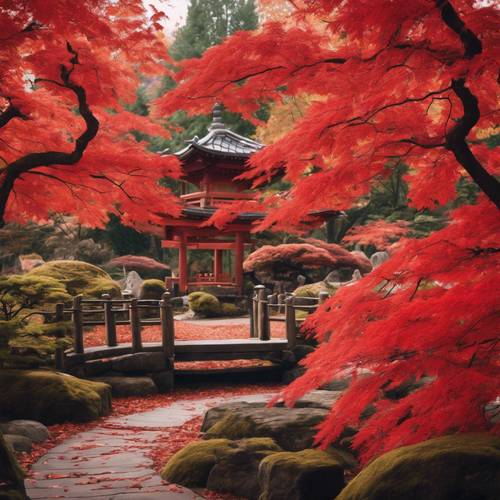 以秋天为主题的日本花园，有鲜红的枫树。