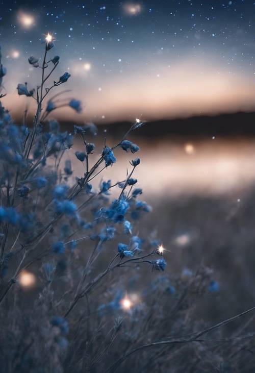 Спокойное, усыпанное звездами голубое ночное небо с тусклыми клочьями серебряных облаков.