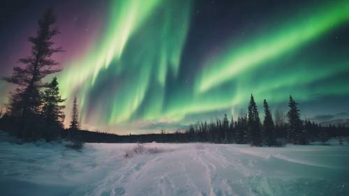 Stunning aurora borealis with aesthetic quotes appearing as the northern lights in sky. Tapet [9f713bf75a8b48bab3a5]