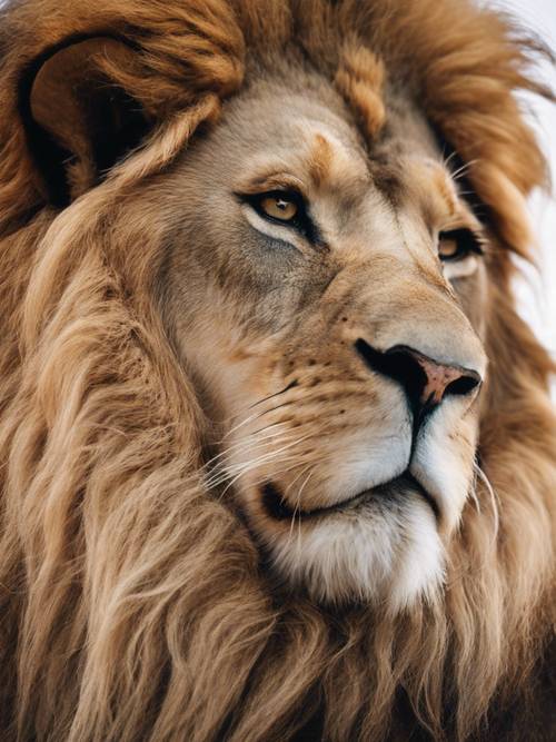 Un león majestuoso con un sutil símbolo del zodíaco de Libra en su melena.