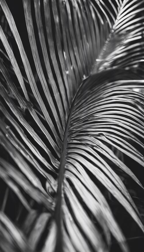 An artistic rendition of a palm leaf in monochrome tones. Tapet [16630596abb44d28ad75]