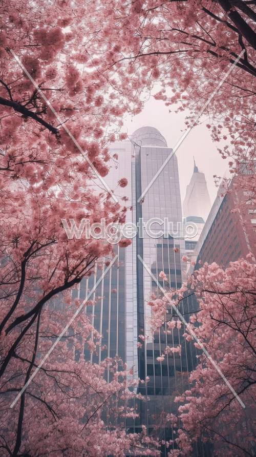 城市里的樱花和摩天大楼