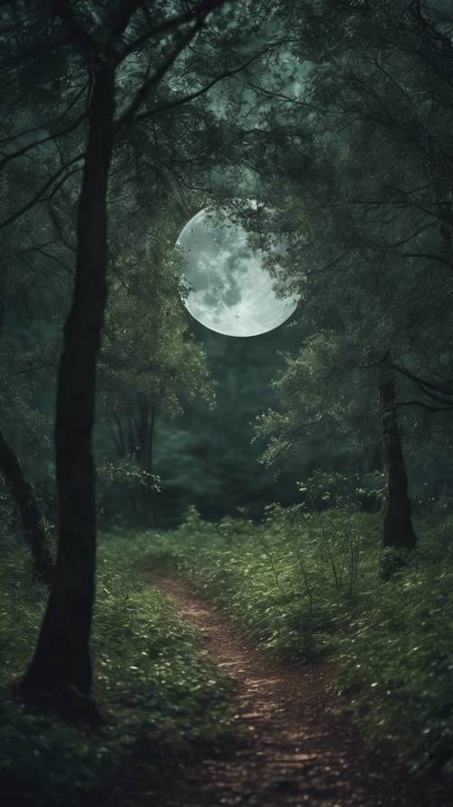 A calm dark green forest under a silver moon.
