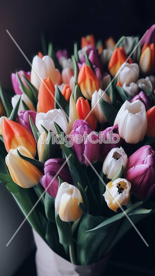 Bunte Tulpen in voller Blüte