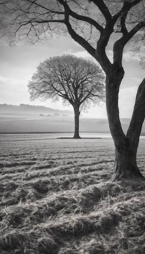 Monochrome image of a single tree standing in the middle of a plowed field, symbolizing loneliness. Tapet [badf19ce93ec47b48028]