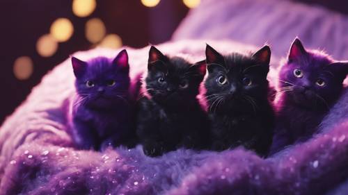 Wystawa ciemnofioletowych kotków kawaii, każdy z różnymi zabawnymi minami, zwiniętych w kłębek i drzemki.