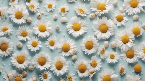 An aesthetic flat lay of scattered daisies on a light pastel textured paper.