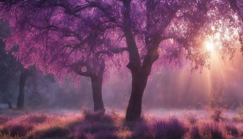 Alberi viola che brillano nella rugiada mattutina con il sole nascente sullo sfondo.