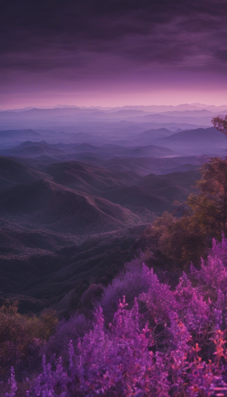 A view from the top of the mountain during twilight, the horizon casting beautiful purple and black shades. 墙纸[7fe6baa8532c4f3786ba]