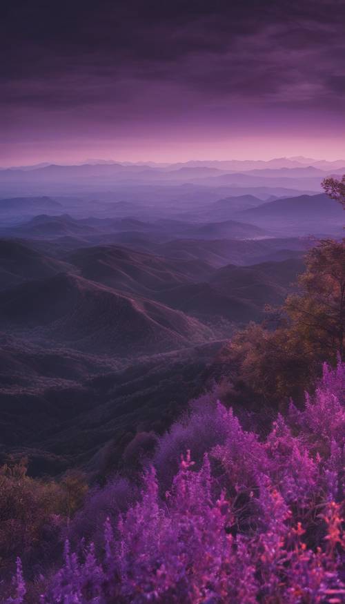 Вид с вершины горы в сумерках, горизонт отбрасывает красивые фиолетовые и черные оттенки.