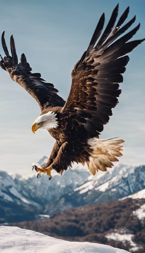 맑고 푸른 하늘 아래 눈 덮인 산 위로 위엄있게 날아다니는 독수리.