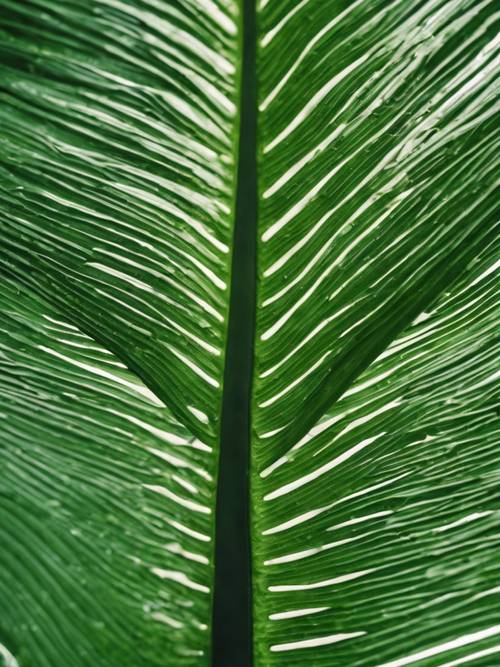 Una rappresentazione dettagliata dell&#39;intricato motivo delle venature su una foglia di palma verde.