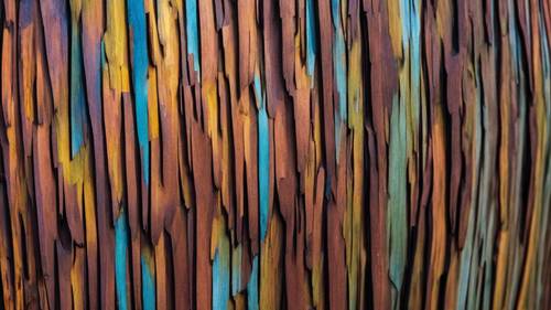 정글에 있는 무지개 유칼립투스 나무의 줄무늬 껍질을 자세히 살펴보세요.
