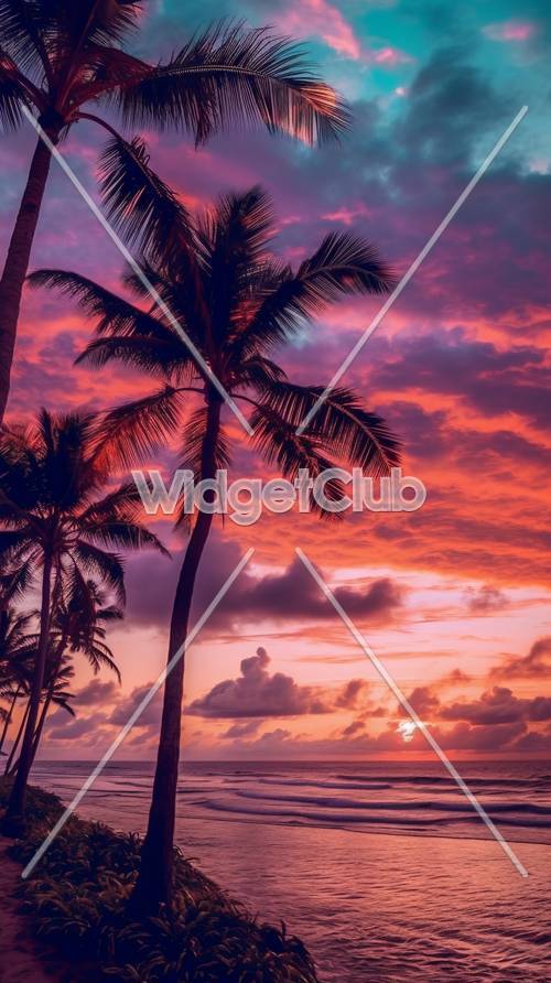 Coucher de soleil tropical avec palmiers