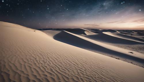 Ein detailliertes Bild von vom Wind geformten Dünen an einem weißen Strand unter einem sternenübersäten Nachthimmel.