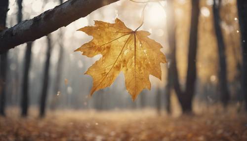 A light gold autumn leaf falling from a tree in a quiet forest.