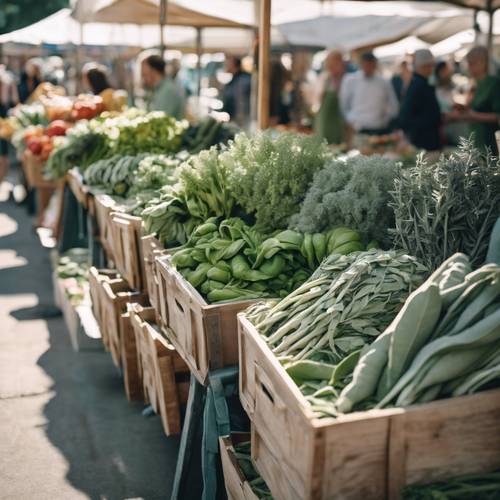 A bustling farmer's market with stalls selling a variety of sage green produce. Тапет [3bb4abb91baf4b71a9d4]