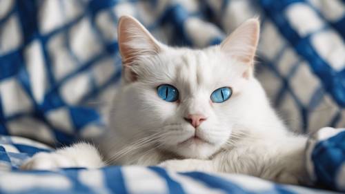An elegant white cat with blue eyes lazing on a blue checkered quilt.