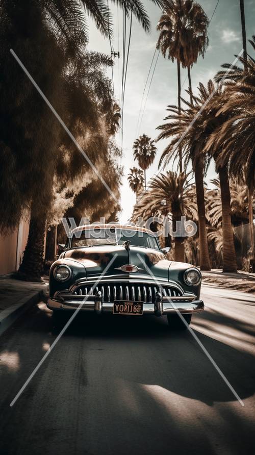 Carro clássico em uma rua repleta de palmeiras