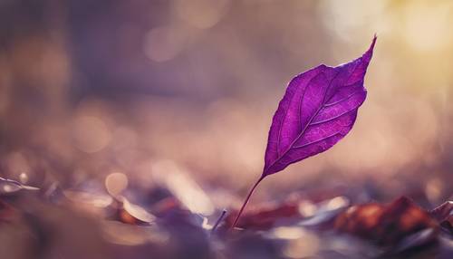 The dynamic view of a purple leaf dancing in the brisk wind. Tapet [ef7385c102554d3fb0e7]