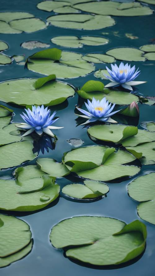 Pattern of blue lotuses and green lily pads on the tranquil surface of a pond.