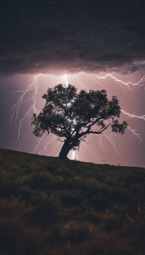 An image of a massive lightning bolt volley coming down from a starry night sky onto a lonely tree on a serene hill. Tapeta [bc6b353c5814477897ff]