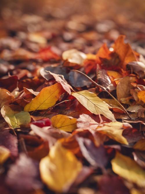 A pile of colorful autumn leaves represents 'Every leaf speaks bliss to me, fluttering from the autumn tree'. Wallpaper [a59908339322427dbf95]