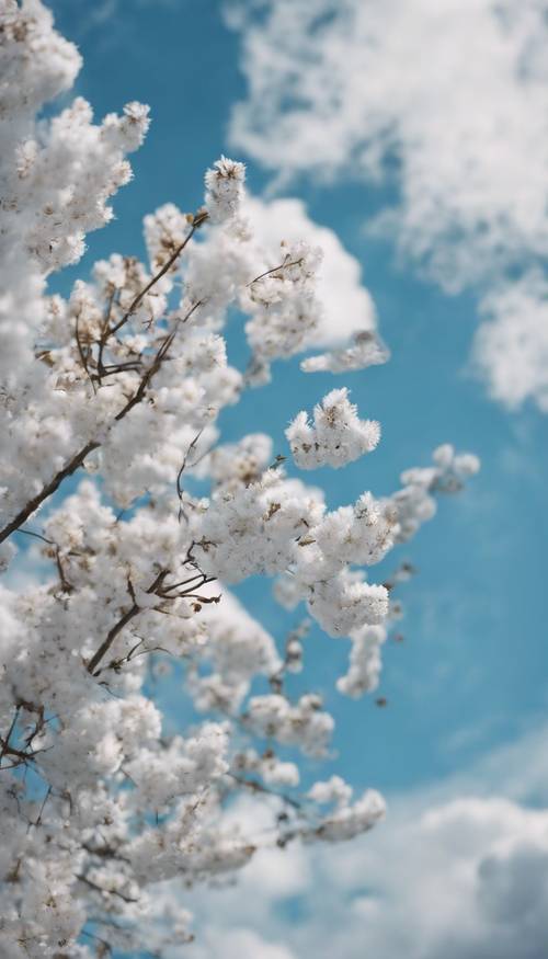 Um céu azul com nuvens brancas e fofas durante um dia tranquilo na primavera.