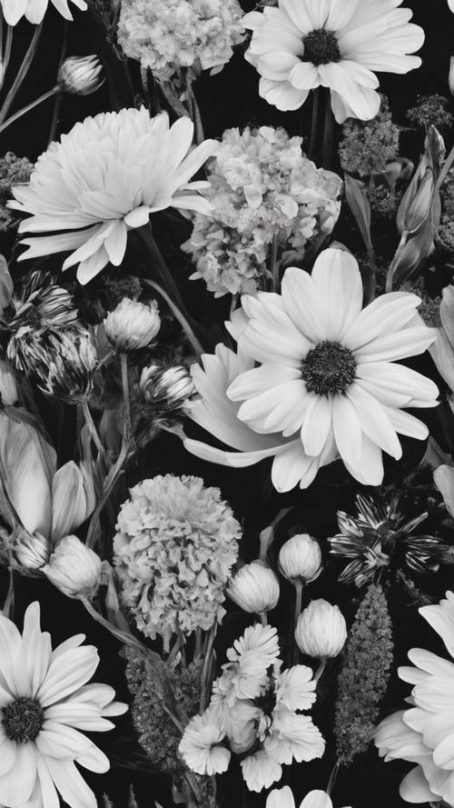 Siyah beyaz kontrasta karşı çeşitli çiçekler içeren soyut çiçek şeritleri