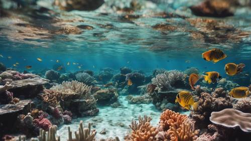 Florida Reef yang menakjubkan di bawah perairan jernih, penuh dengan ikan tropis berwarna-warni dan karang yang semarak.