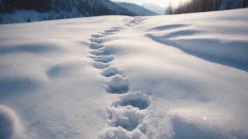 Aesthetic quotes appearing as footprints on a snow-covered mountain path.