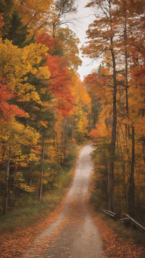 北ミシガンのM-22景観ルートの秋の自然美と紅葉を捉えた壁紙